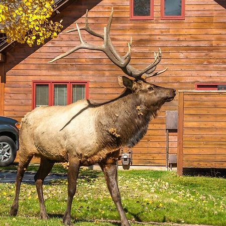Rams Horn Village Resort Estes Park Zewnętrze zdjęcie