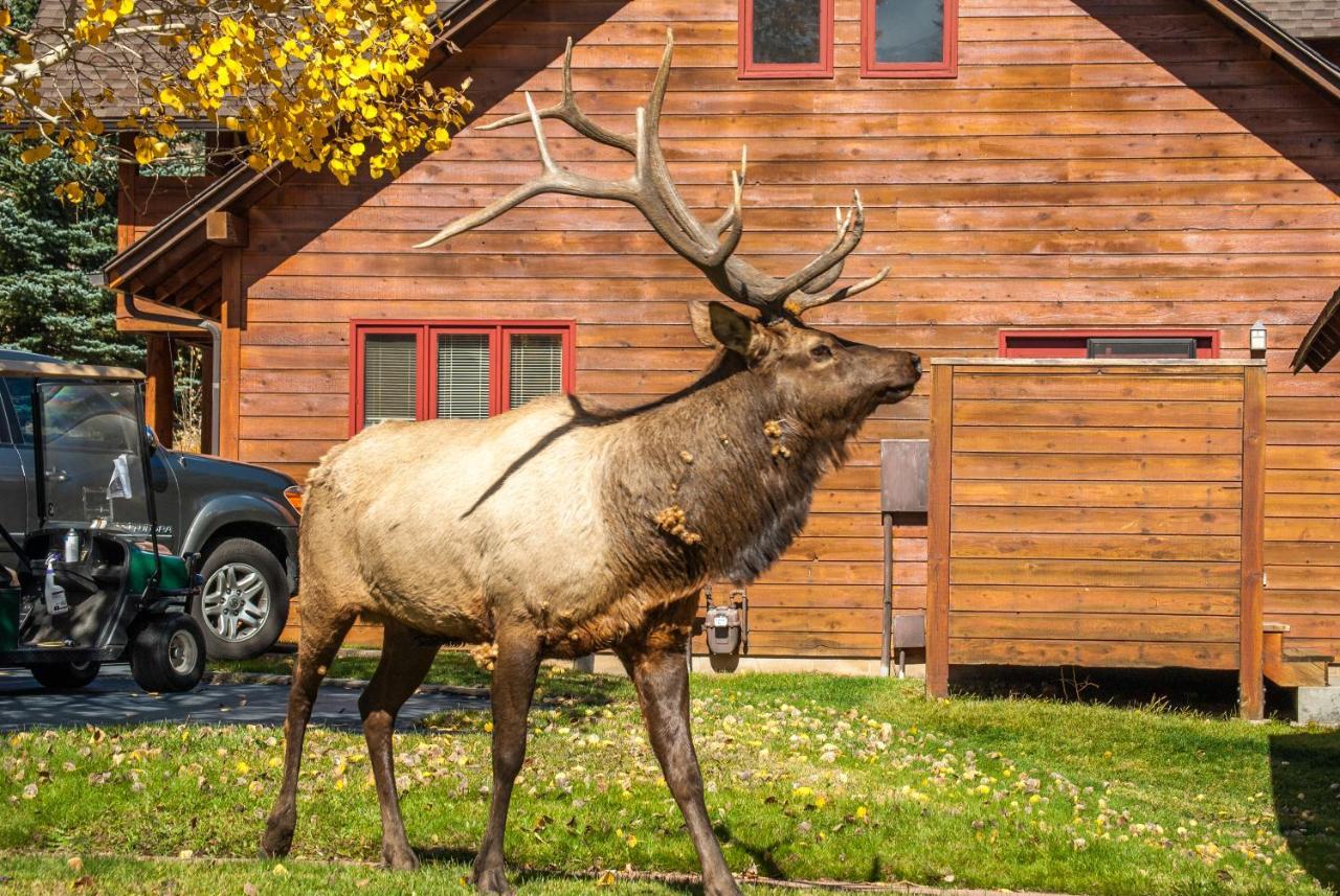 Rams Horn Village Resort Estes Park Zewnętrze zdjęcie